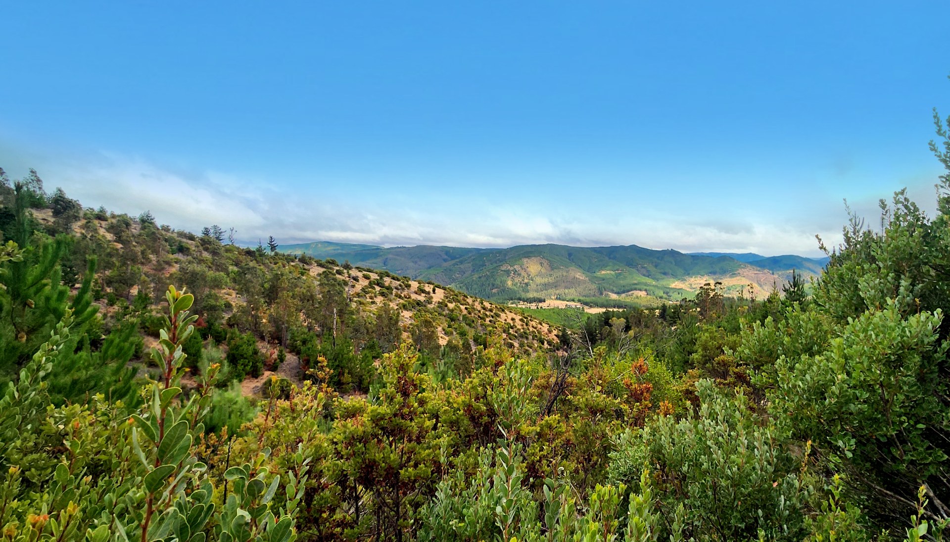 Club de Campo Cauquenes